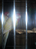 DSCN0329