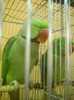 DSCN0331