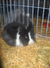 DSCN0334