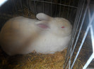 DSCN0338