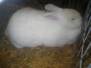 DSCN0339