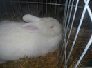 DSCN0340