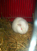 DSCN0392