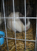 DSCN0527