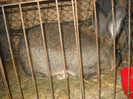 DSCN0537