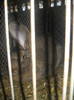 DSCN0538