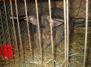 DSCN0539