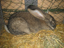 DSCN0542