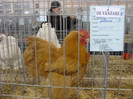 SN853777