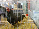 SN853796