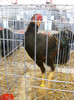 SN853792
