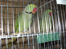 SN853824