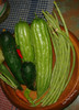 DSC09370