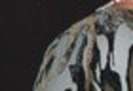 59146102_ZETELHD2_010