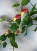 poze 044