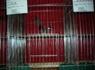 SDC13263