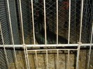 SDC13324