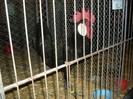 SDC13328
