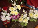 DSC04351