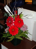 DSC04815