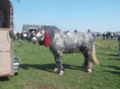 36229010_ZHASNRQZB