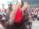 37414709_ZAIMDNMPH