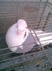 Imag005
