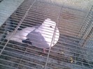 Imag006
