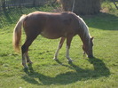 11512528_SHVEJCTIP