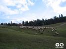 IMG-1215