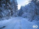 IMG-1439