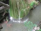 IMG-2419