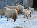 img_4010