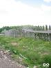 Padis-10