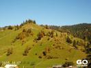 Picture-041