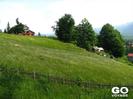 Picture-052