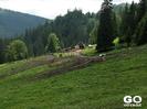 Rezervatia-Padis-13