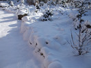 DSCF9363