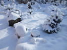 DSCF9364