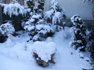DSCF9366