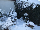 DSCF9369