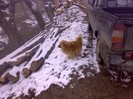 270320111658
