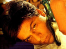 shahrukh_khan_wallpapers_072