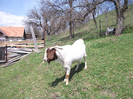 DSCF2764