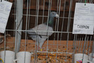 Picture 044