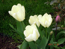 DSC09850