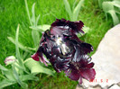 DSC00007