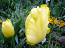 DSC00022