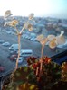 DSC02644