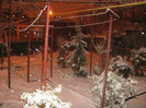 prima zapada iarna 2012 ora 19.00
